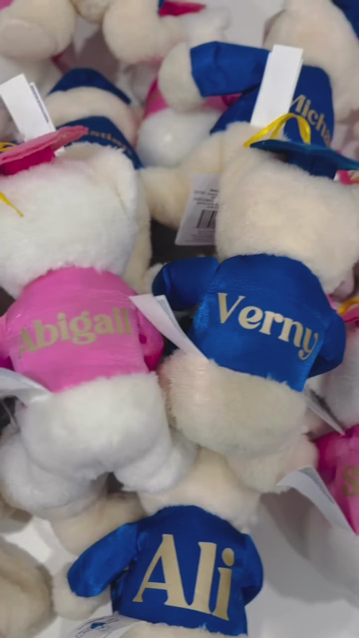 Personalized Graduation Bear 7.5" | Custom Class of 2026 Grad Plush Gift